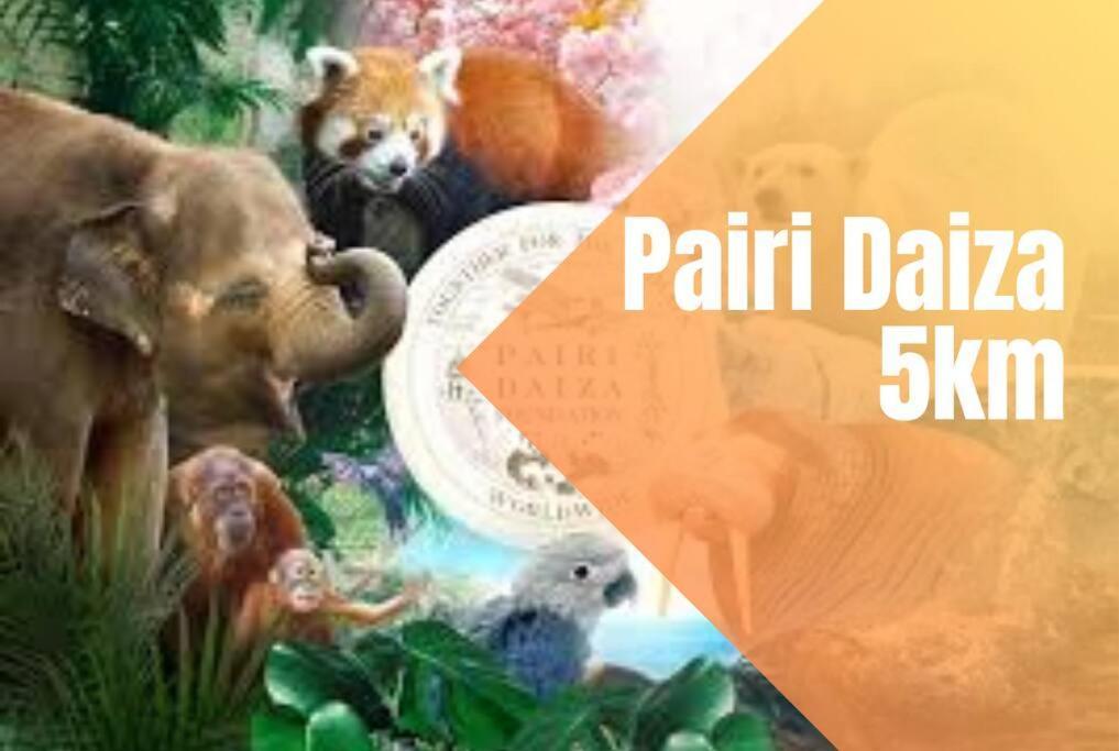 Charmant Logement Brugelette Proche De Pairi Daiza 외부 사진