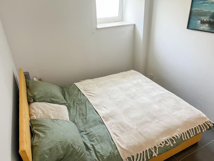 Charmant Logement Brugelette Proche De Pairi Daiza 외부 사진